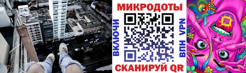 Псилоцибиновые грибы Psilocybine cubensis  Всеволожск 